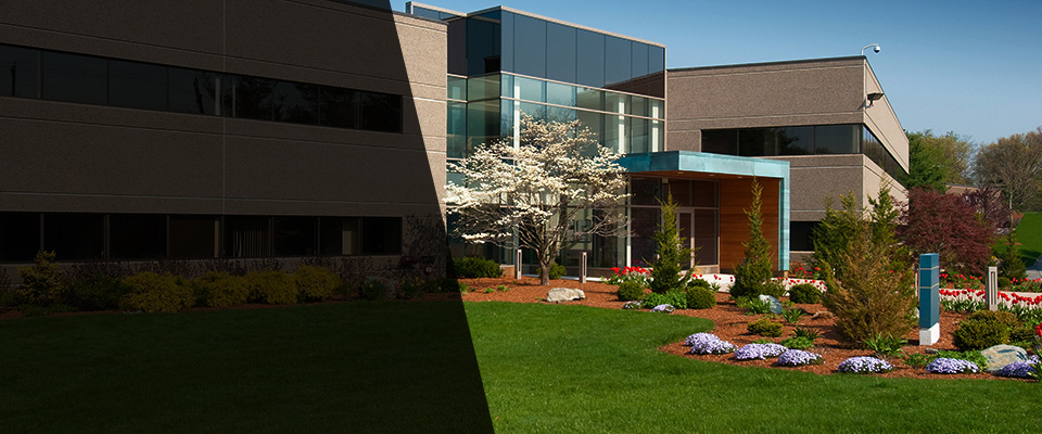 Powder Springs Landscapers
