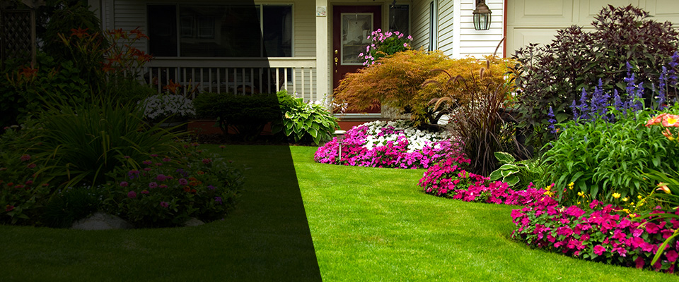 Powder Springs Landscapers