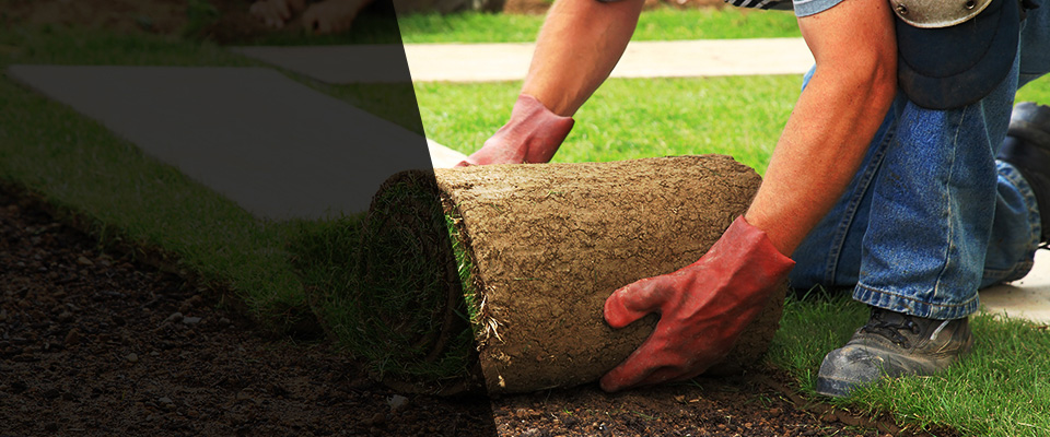 Powder Springs Landscapers